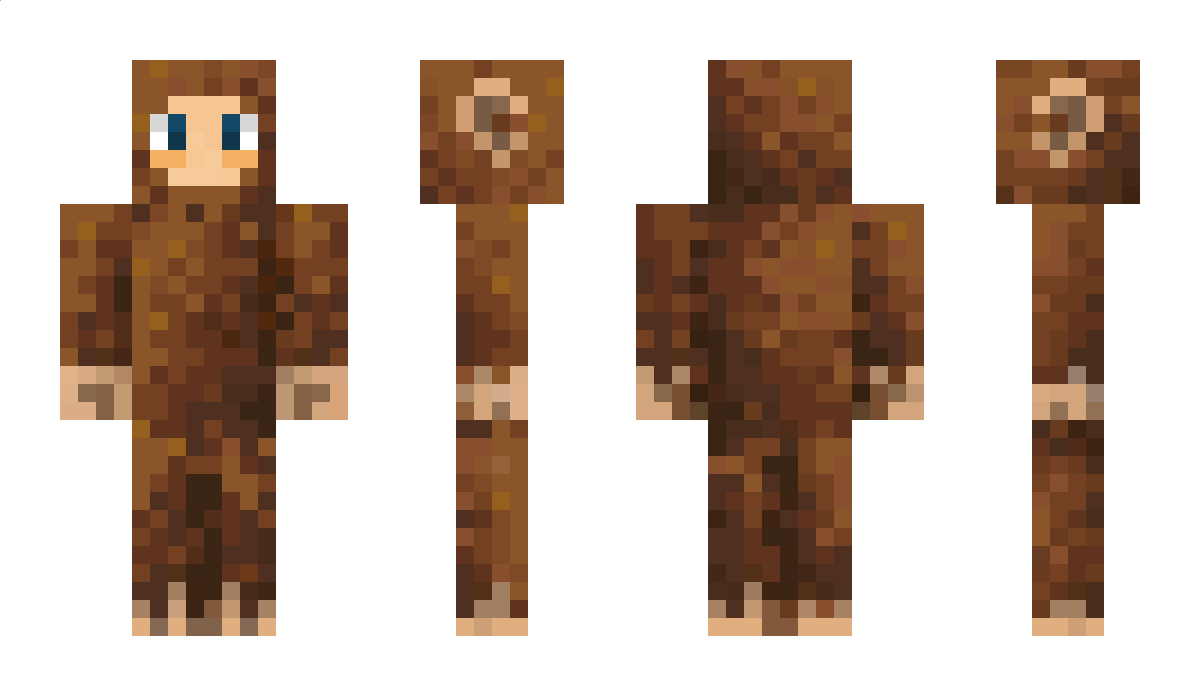 Tomdudecool Minecraft Skin