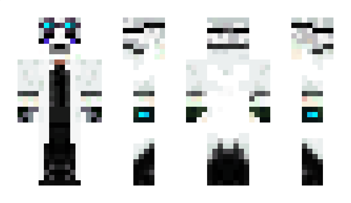 Seal_Cat Minecraft Skin