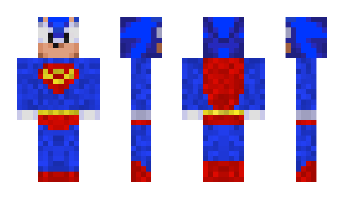 dst Minecraft Skin