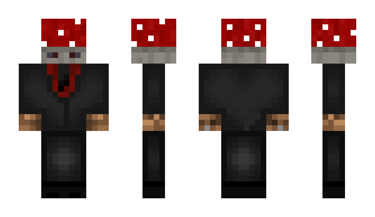 WTaCer Minecraft Skin