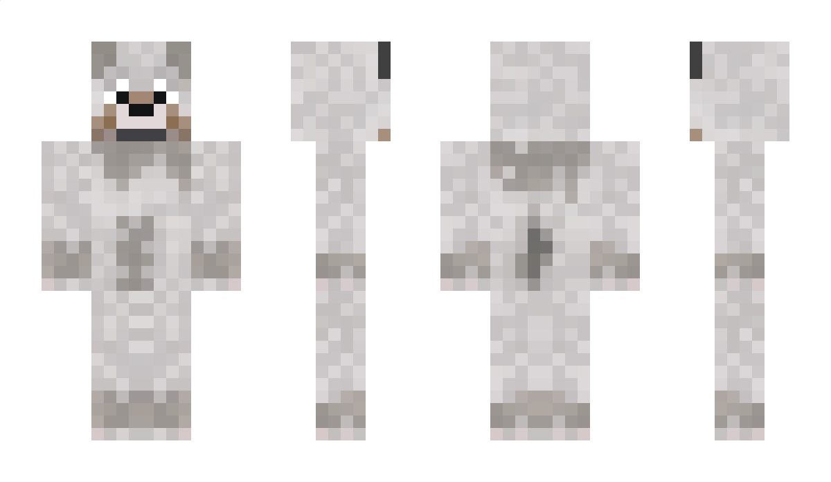 BoatNoise Minecraft Skin