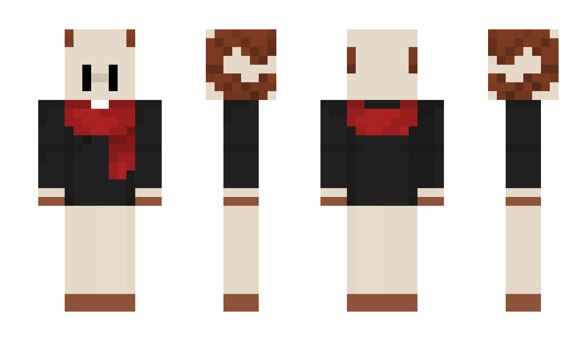 SaltySonix Minecraft Skin