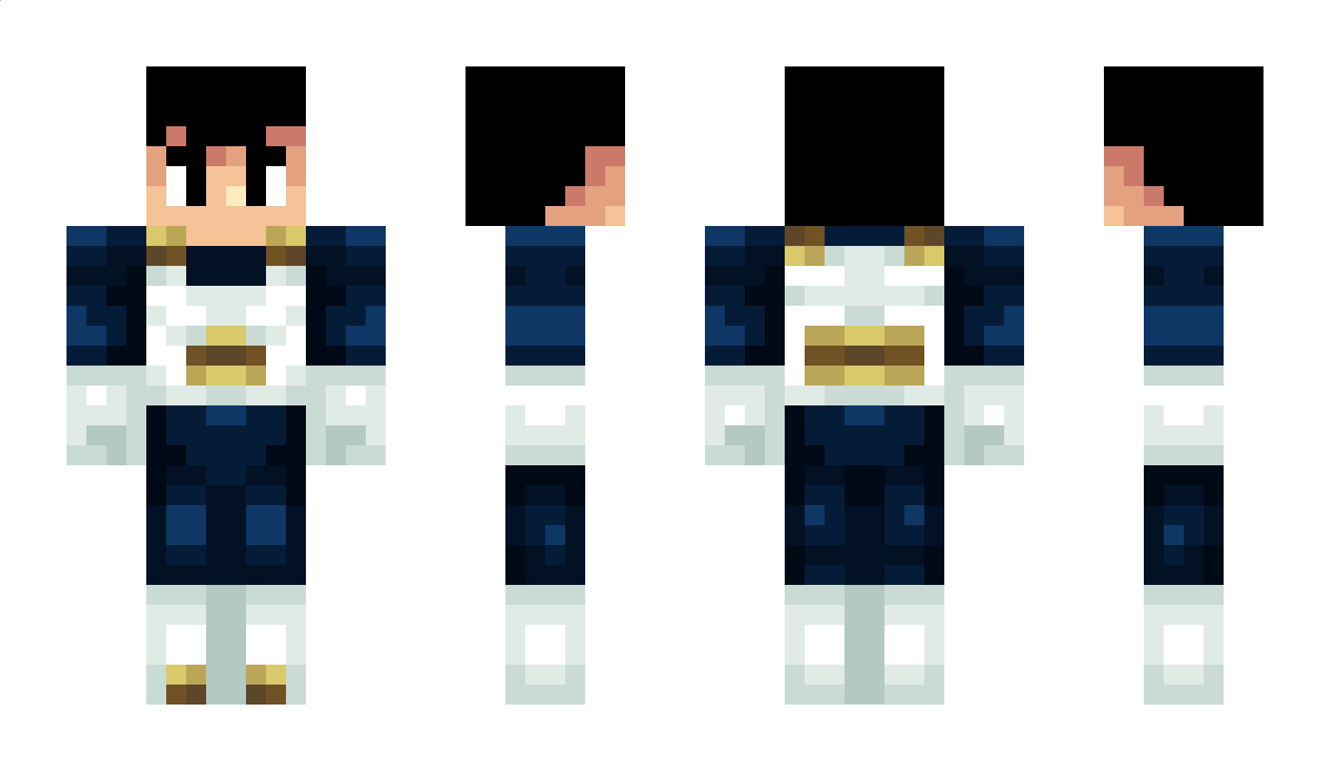 allonge Minecraft Skin