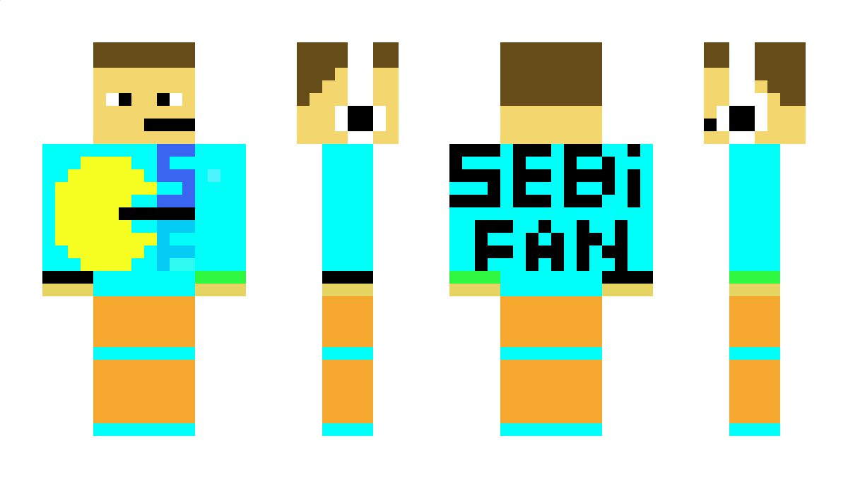 TrueSebifan Minecraft Skin