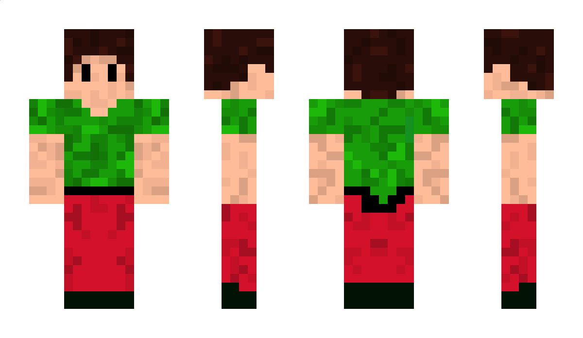 Shayans Minecraft Skin