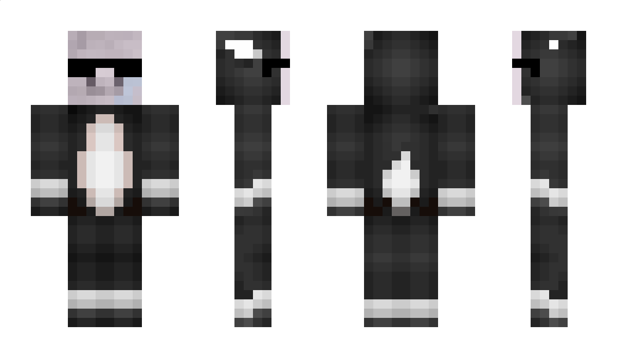 WojtekGaming4488 Minecraft Skin