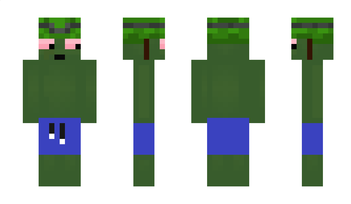 ItzTurtl3zZz Minecraft Skin