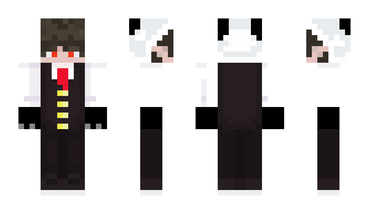 Pand4King Minecraft Skin