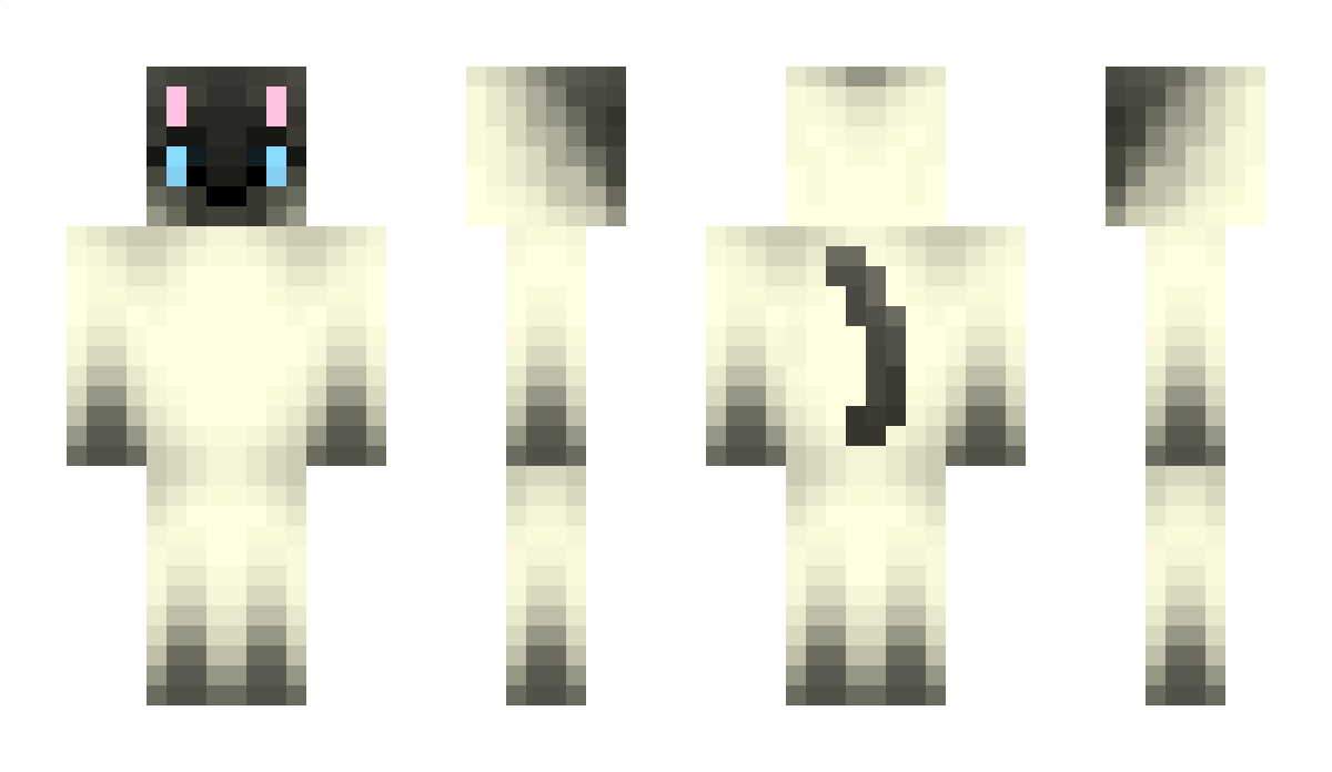 8s5 Minecraft Skin