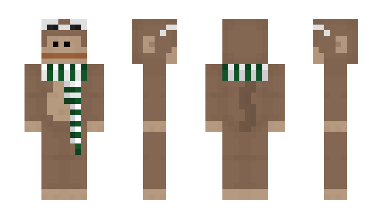 sShakerando Minecraft Skin