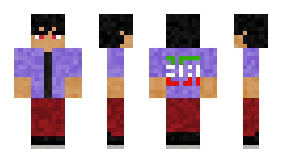 amir1370 Minecraft Skin