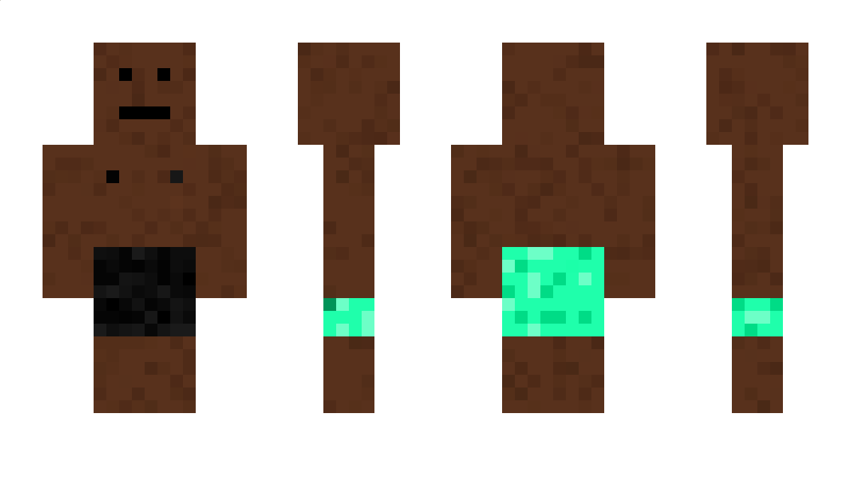 BORRITO Minecraft Skin