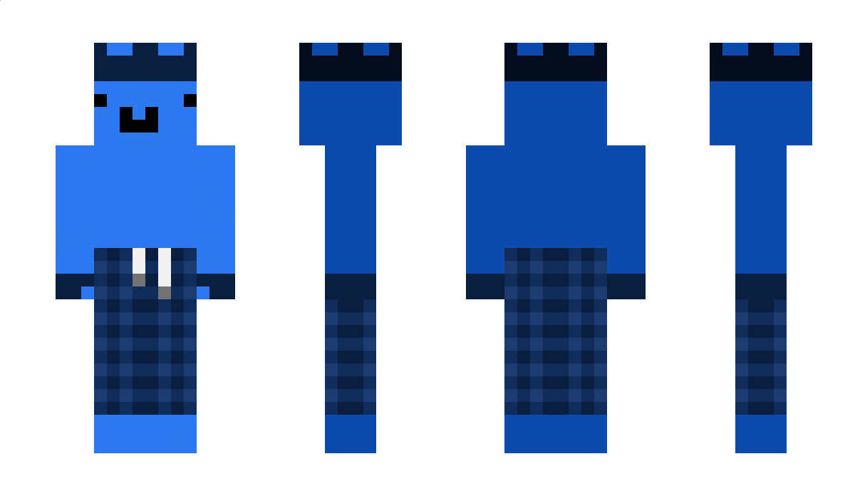 Fly1ng_Rac00n Minecraft Skin