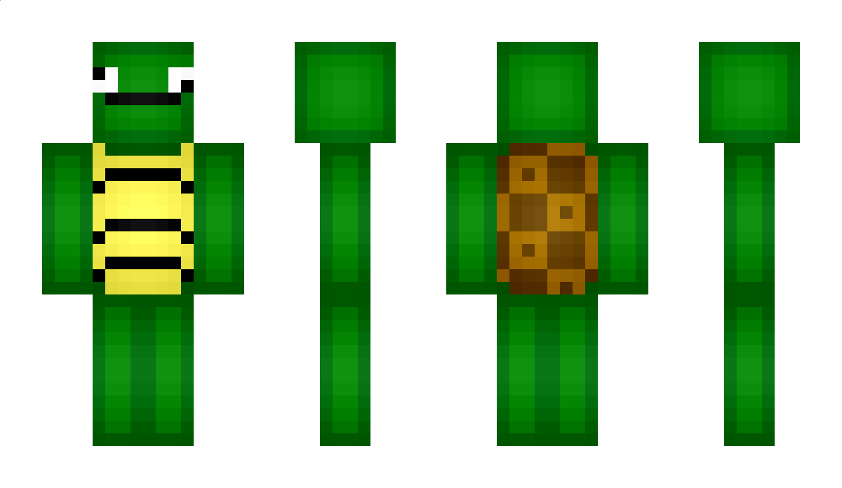 DerpTurtle Minecraft Skin