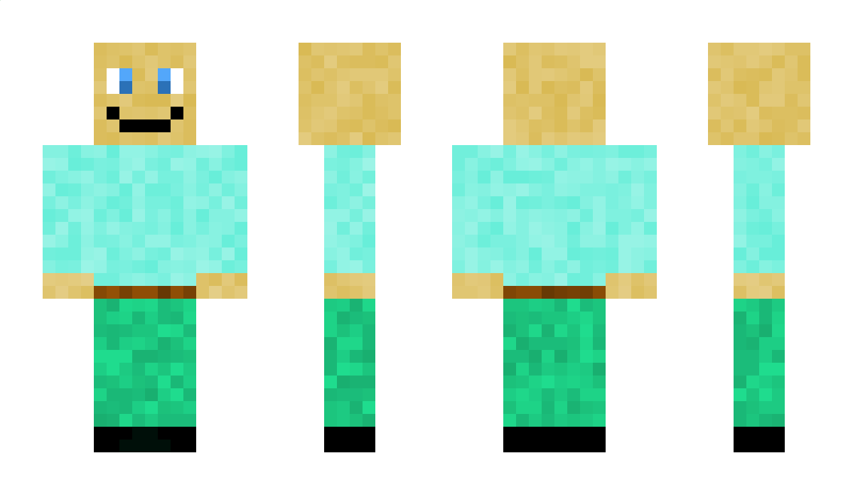 CTs Minecraft Skin