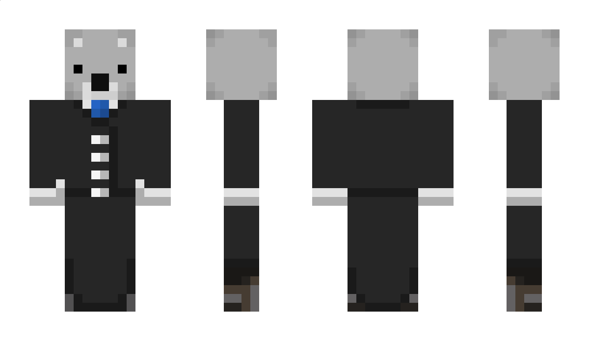 Saltis Minecraft Skin