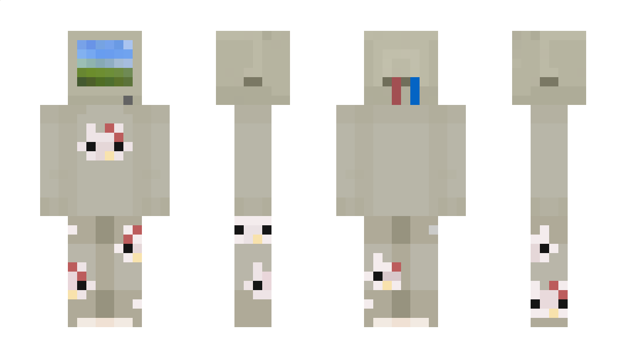 openbaarvervoer Minecraft Skin