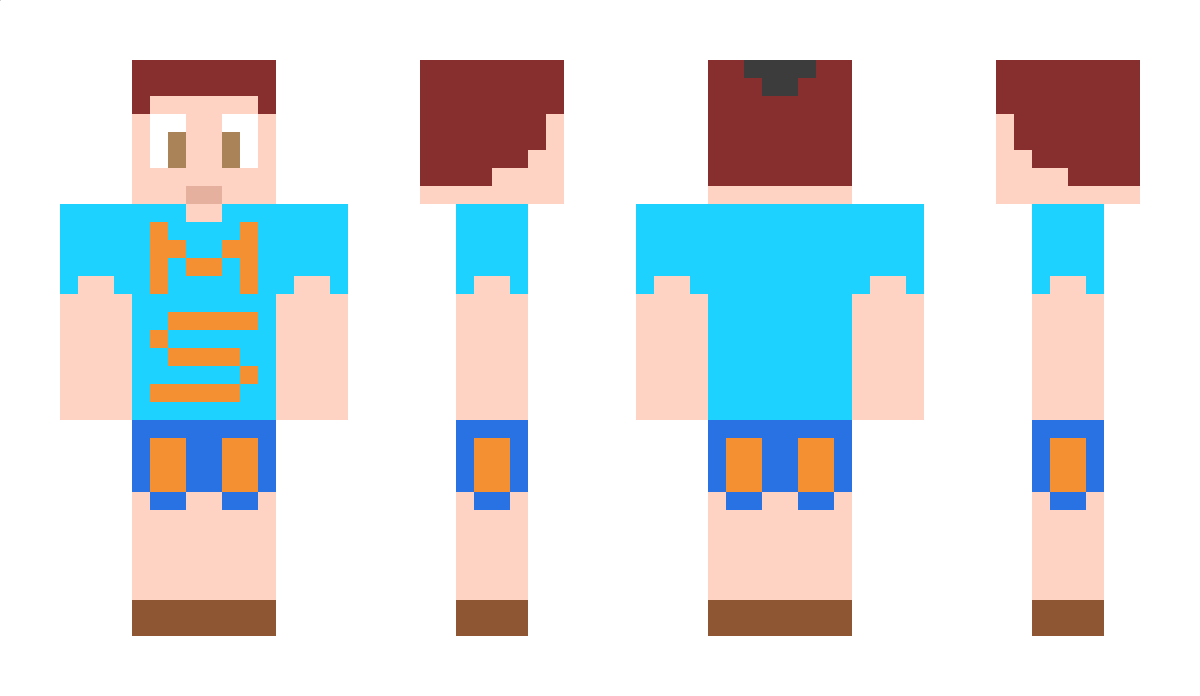 8mishkaswan Minecraft Skin