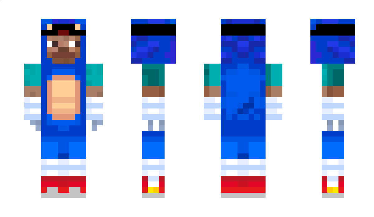 Sw3decy Minecraft Skin