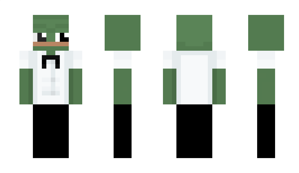 Pettle Minecraft Skin