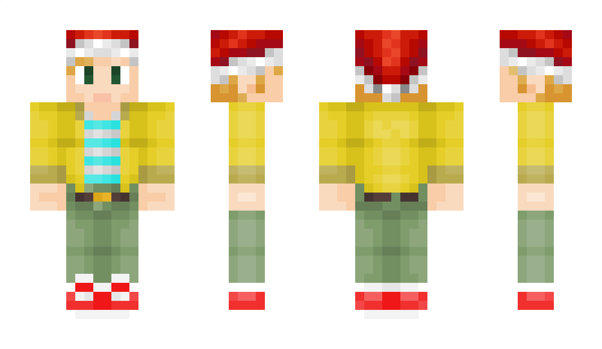 studiowebbtv Minecraft Skin