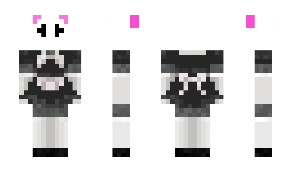 TB_EssayForYou Minecraft Skin