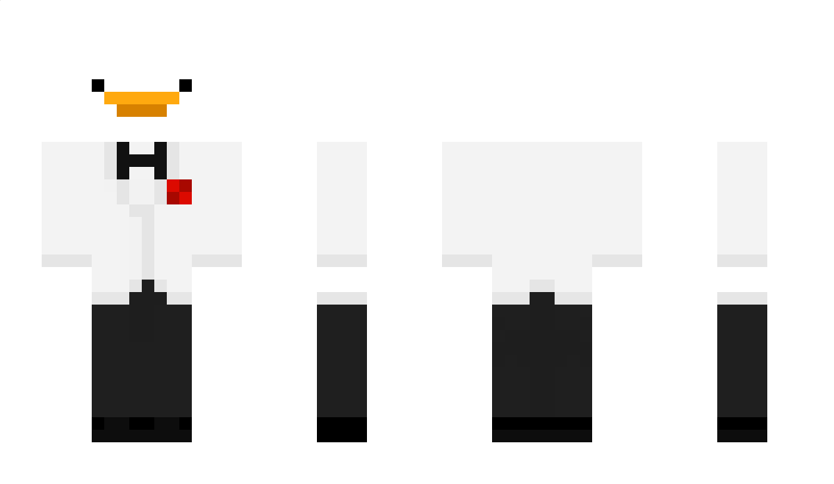 Fencer Minecraft Skin