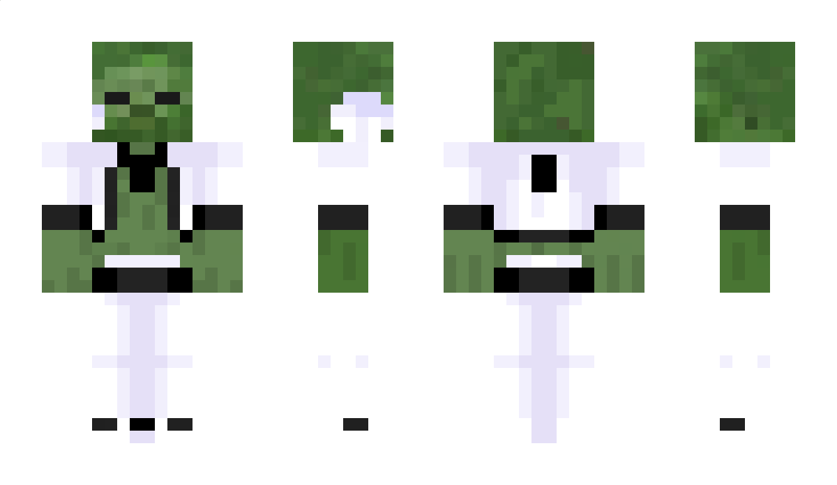 Dusio12 Minecraft Skin