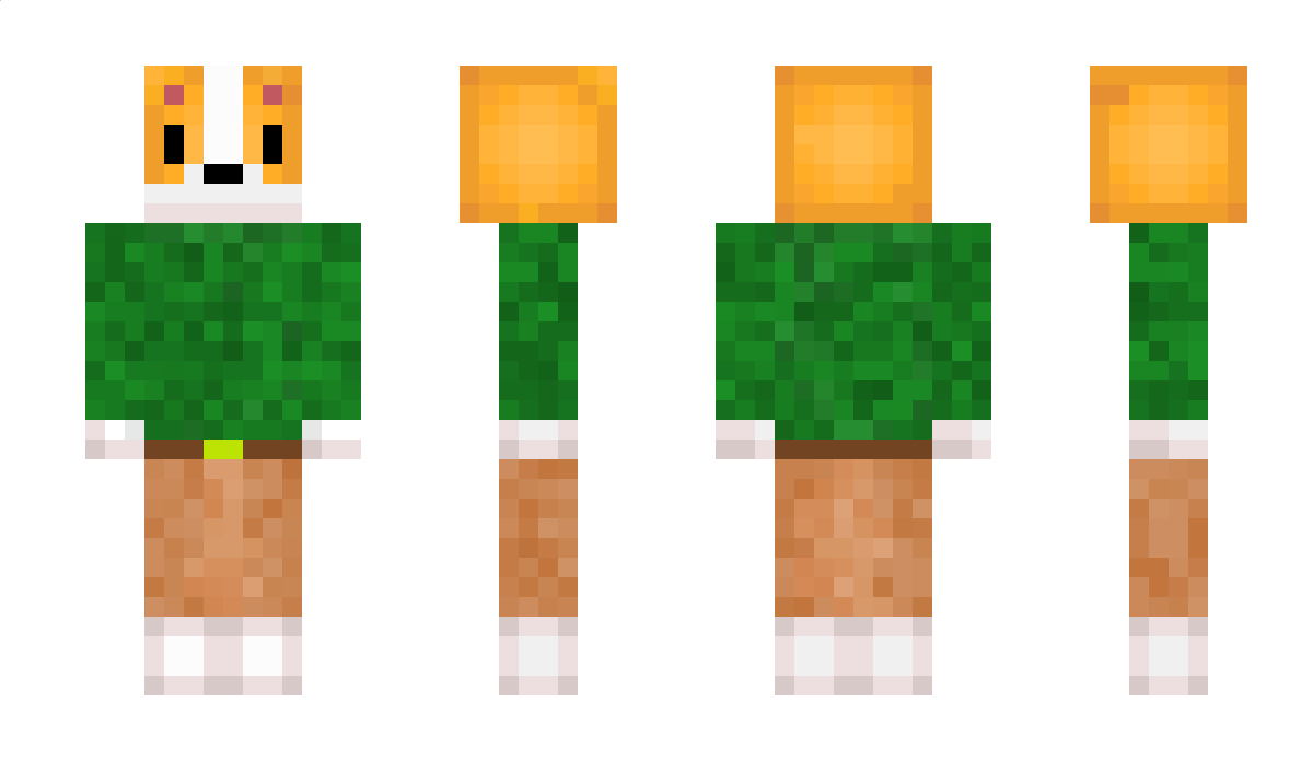 saffronflyer924 Minecraft Skin