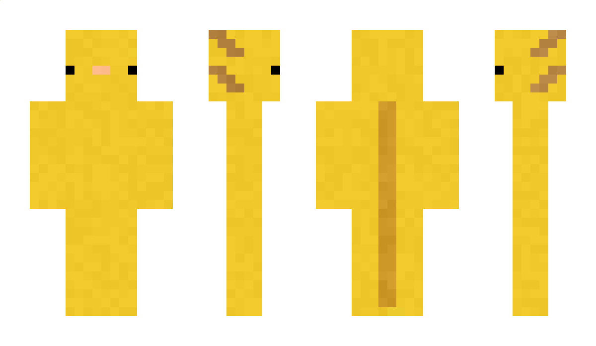 CIRCITisDUDE Minecraft Skin