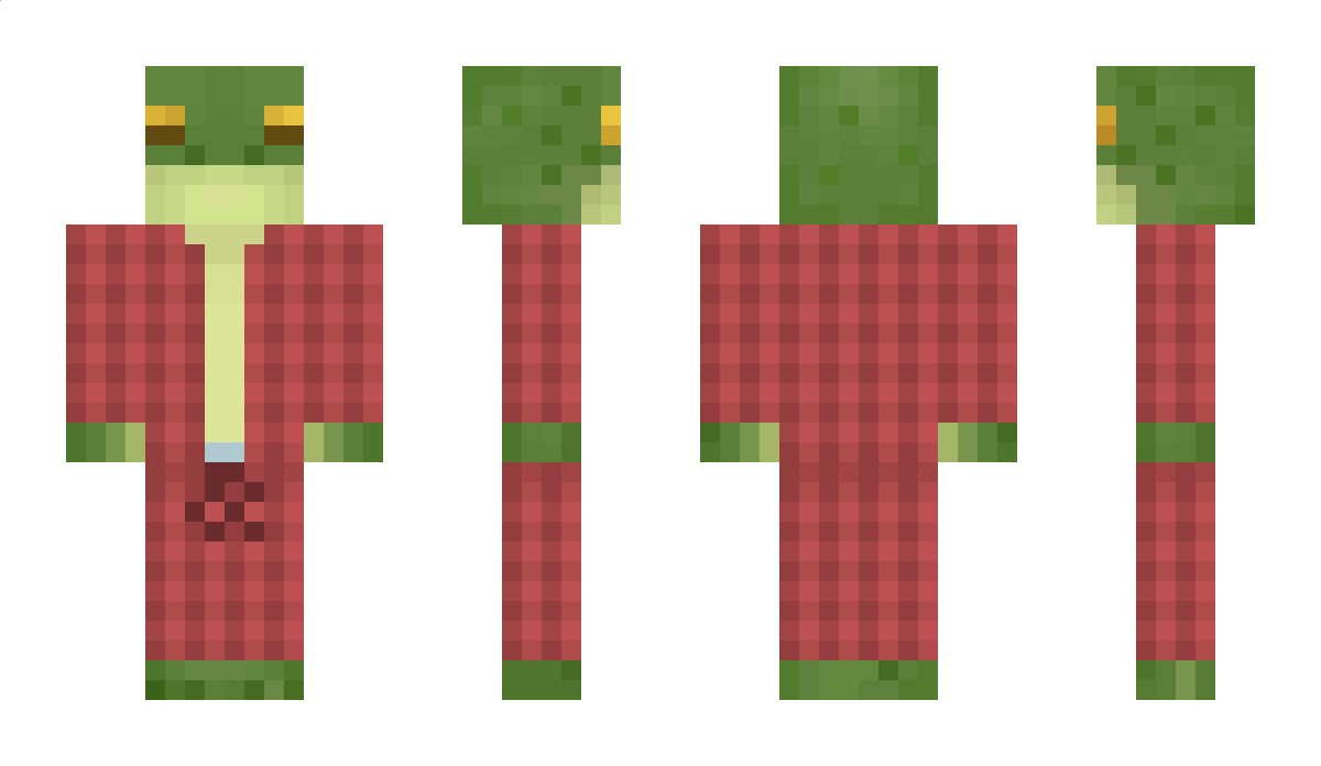 VibeToad Minecraft Skin