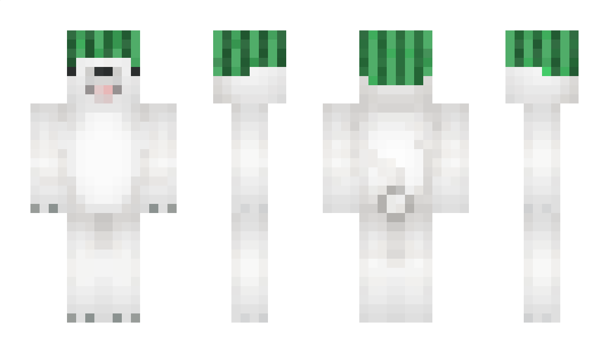 buclingrou Minecraft Skin