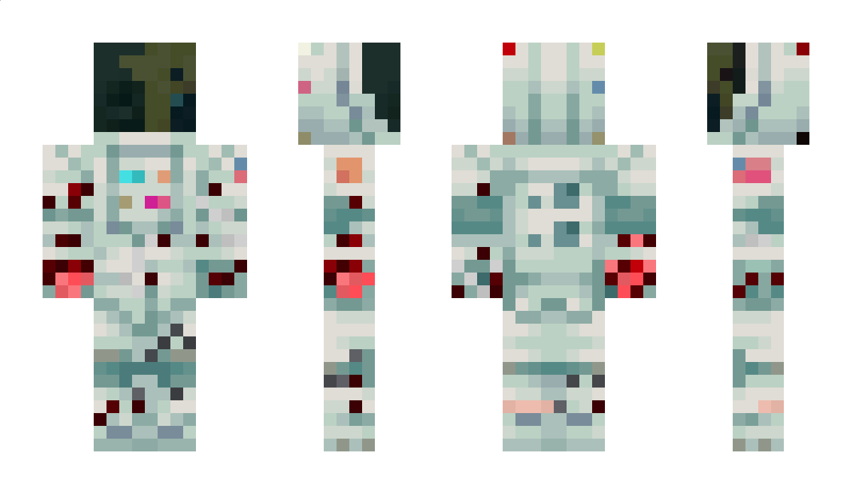 Pchelinus Minecraft Skin