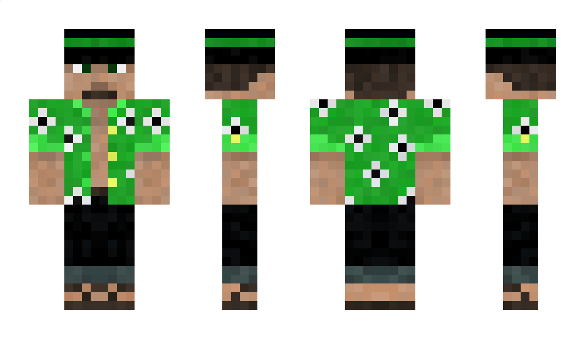 Florida Minecraft Skin