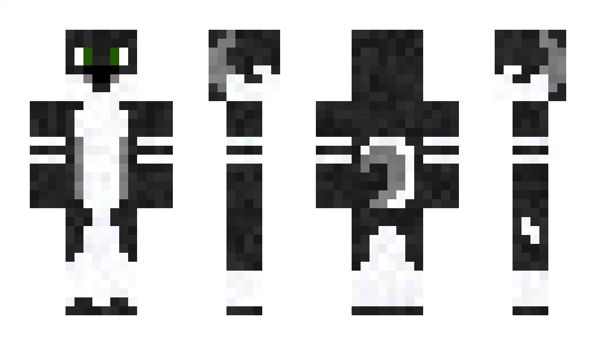 Wemakepies Minecraft Skin