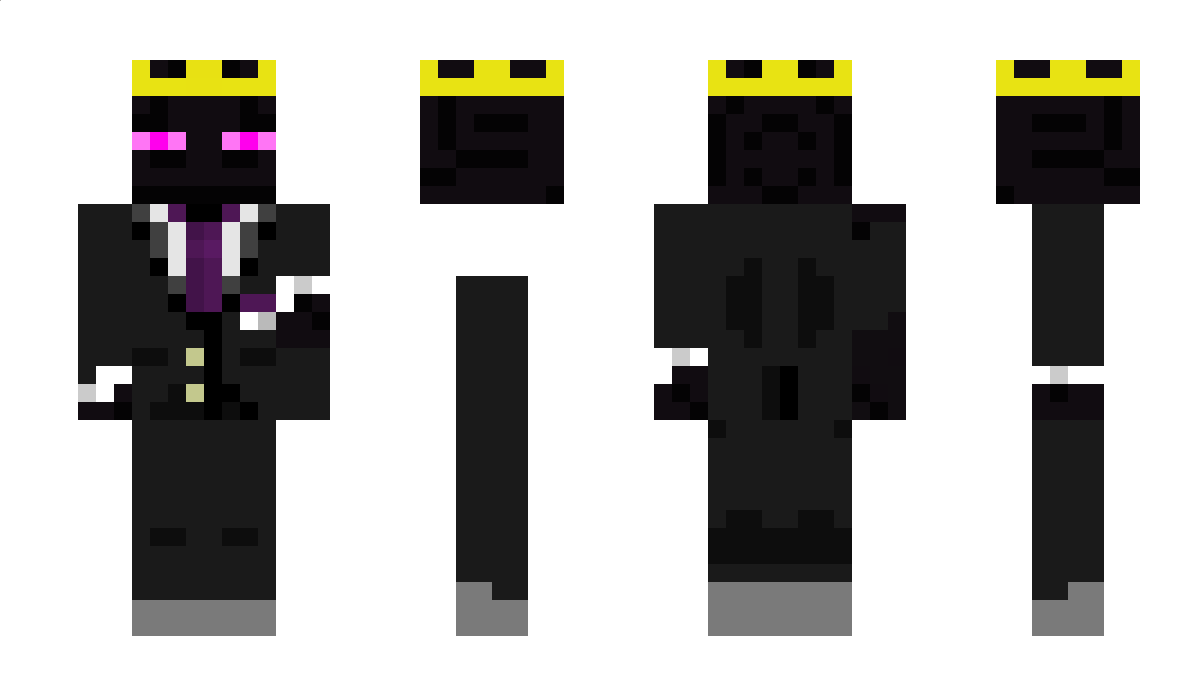 22EnderKing22 Minecraft Skin