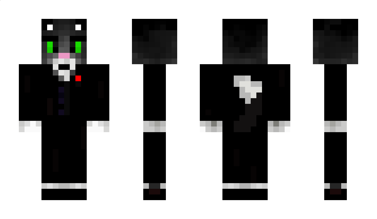 Misaan_ Minecraft Skin