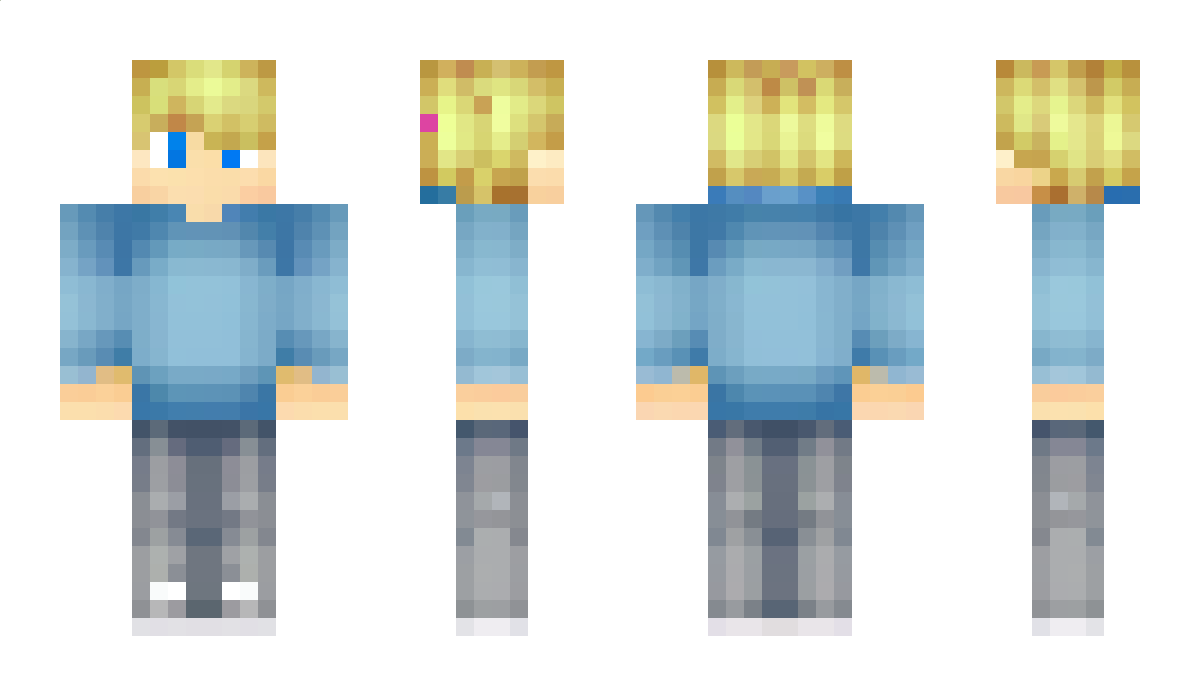 aBoyWithaLaptop Minecraft Skin