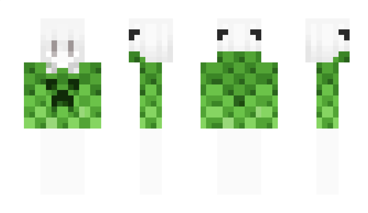 Arrozhehe Minecraft Skin