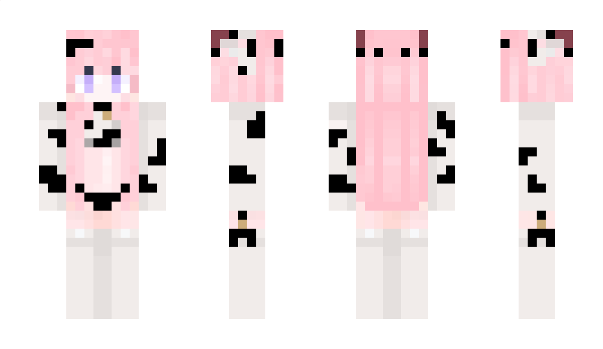 FR2335 Minecraft Skin