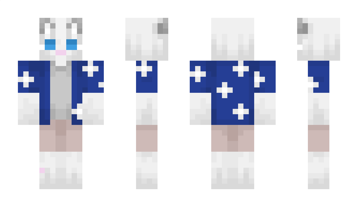 Diggord Minecraft Skin