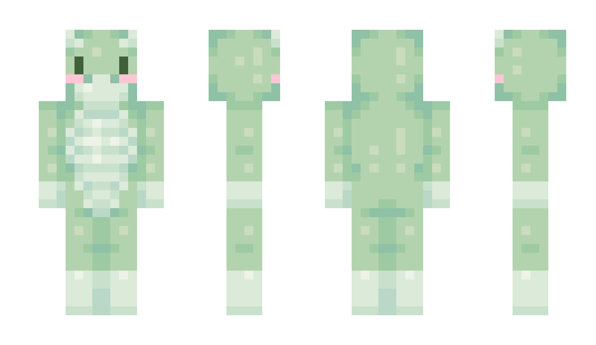 cleantechco Minecraft Skin