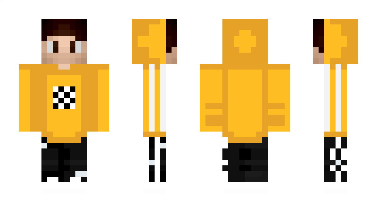 Profi Minecraft Skin