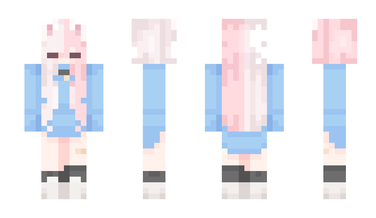 Mewokun Minecraft Skin