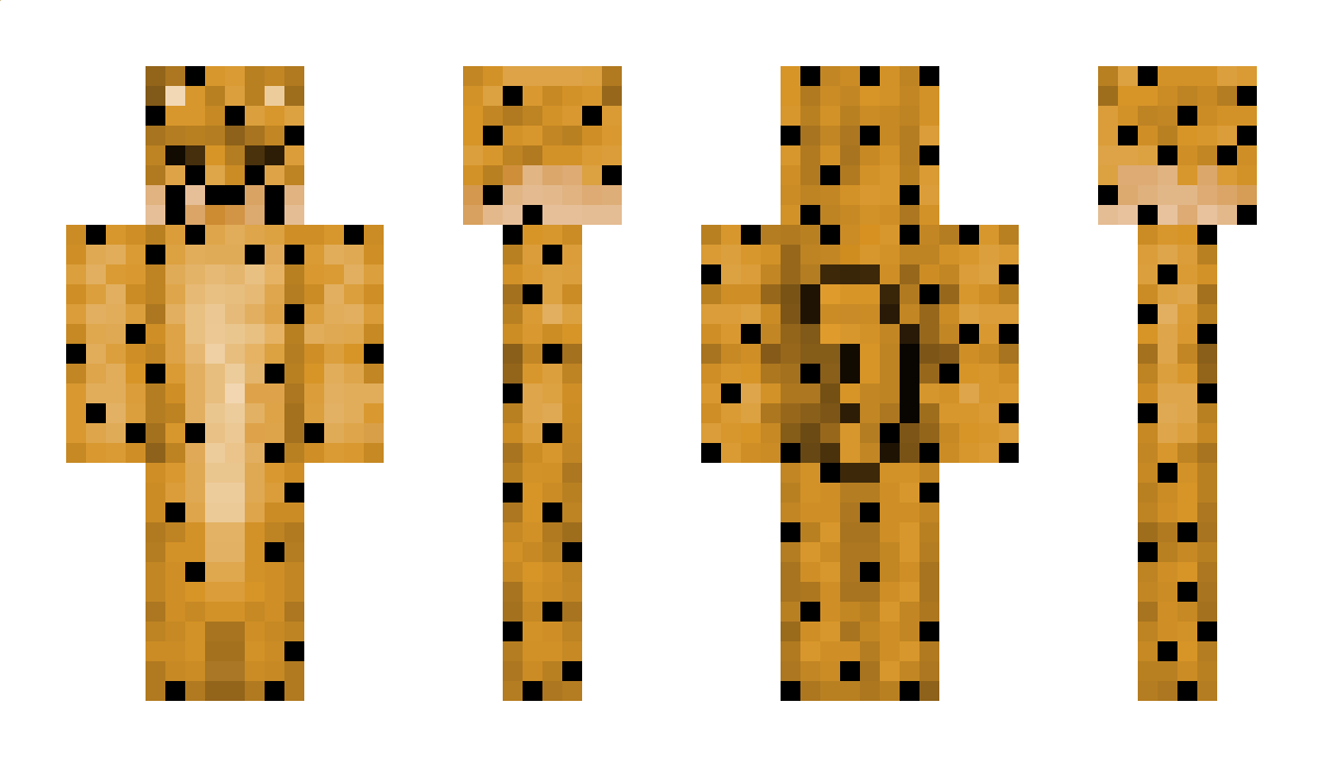 Intercato Minecraft Skin