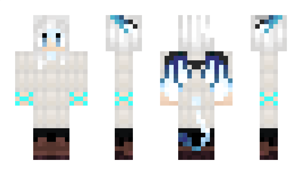 bartek232122 Minecraft Skin