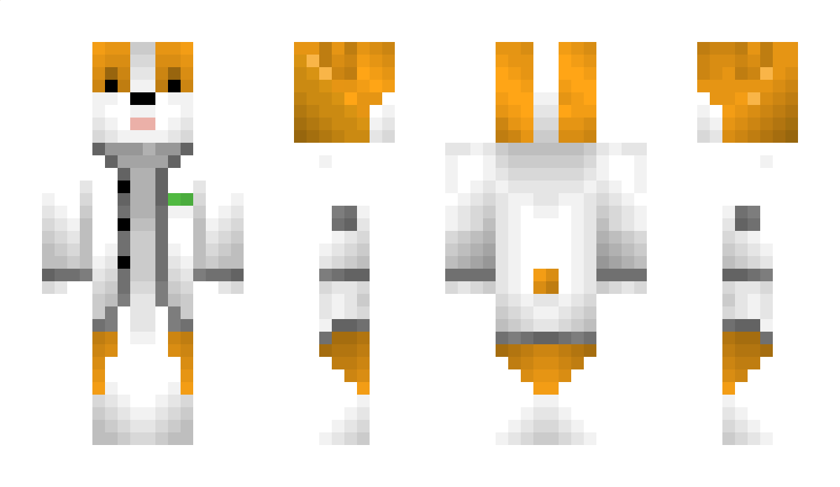 _Question Minecraft Skin