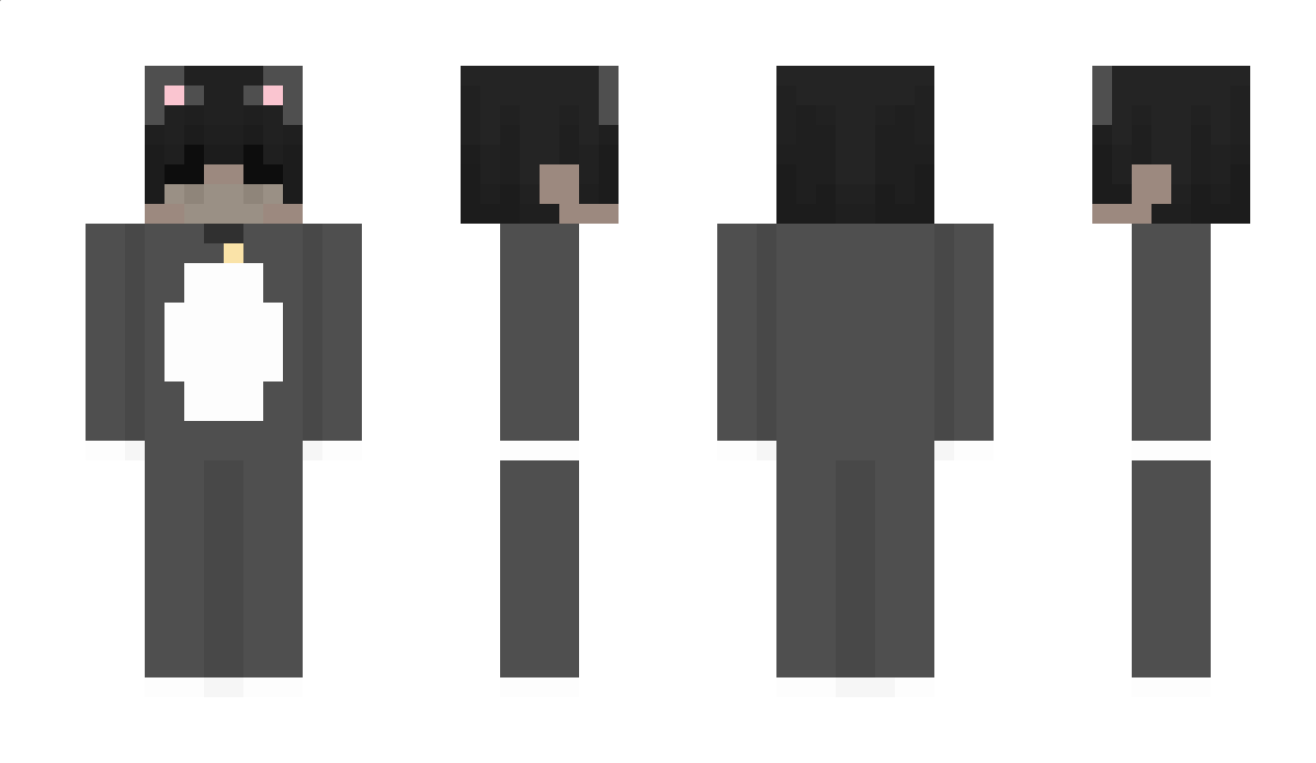 Pill Minecraft Skin