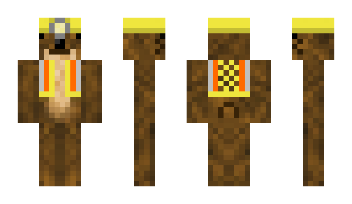 rijsberhp Minecraft Skin