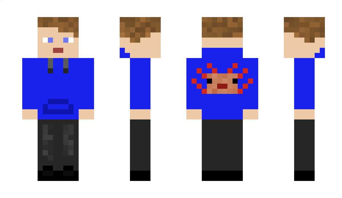 Hentryy Minecraft Skin